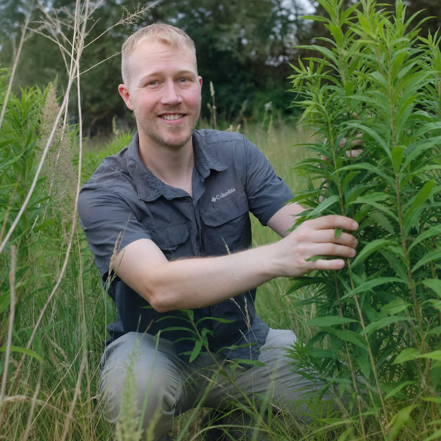 Dr. Fabien Schultz conducting field research among plants